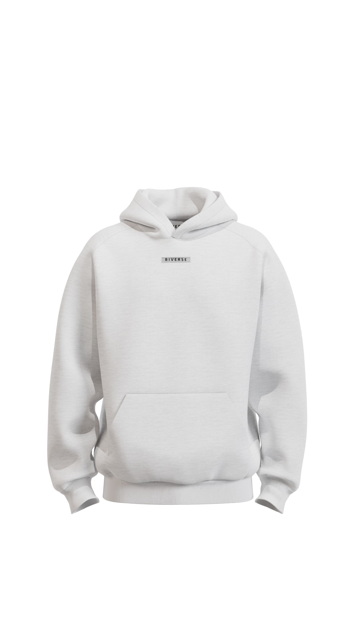 Front view of the Grey BIVERSE 23' hoodie on a black background.